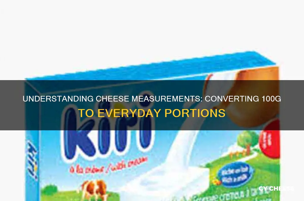 how much is 100g in cheese