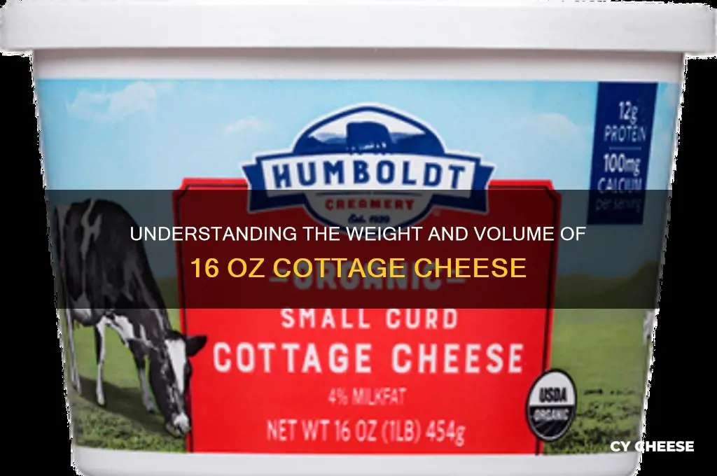 how much is 16 oz of cottage cheese
