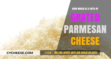 Measuring Grated Parmesan: How Much is 2 Cuts in Recipes?