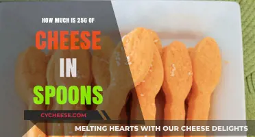 Measuring Cheese: How Many Spoons Are in 25g?