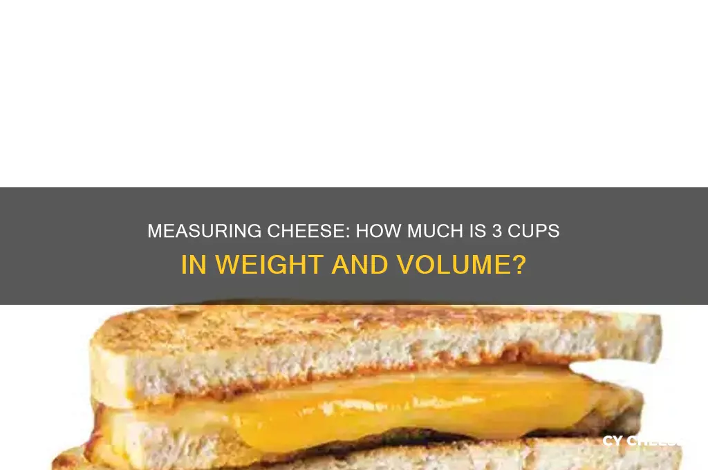 how much is 3 cups cheese