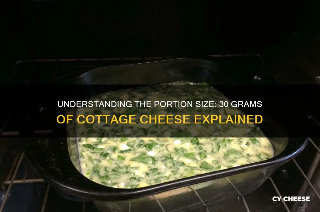 how much is 30 grams of cottage cheese