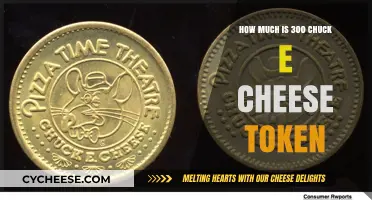 Chuck E. Cheese Tokens: Valuing 300 Tokens and Their Worth