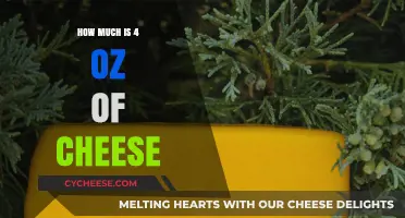 Measuring Cheese: Understanding the Weight of 4 Ounces in Your Kitchen