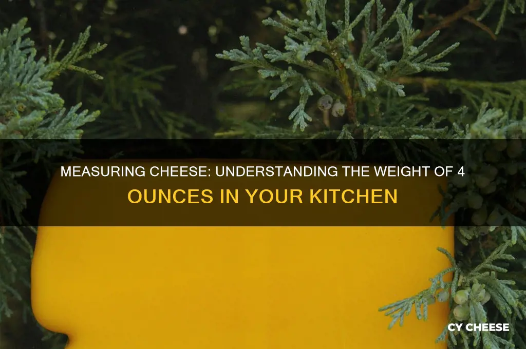 how much is 4 oz of cheese