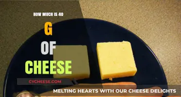 Measuring Cheese: Understanding the Weight and Value of 40 Grams