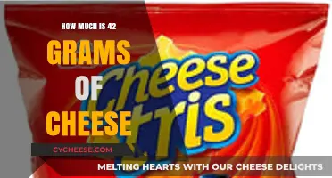 Understanding Cheese Measurements: How Much is 42 Grams of Cheese?