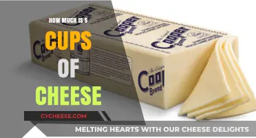 Measuring Cheese: How Much is 5 Cups in Weight and Volume?