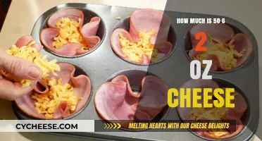 Cheese Measurement Guide: Converting 50g to 2oz for Perfect Recipes