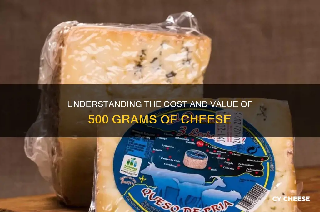 how much is 500 grams of cheese