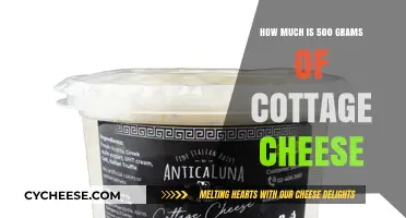 Understanding the Cost and Value of 500 Grams Cottage Cheese