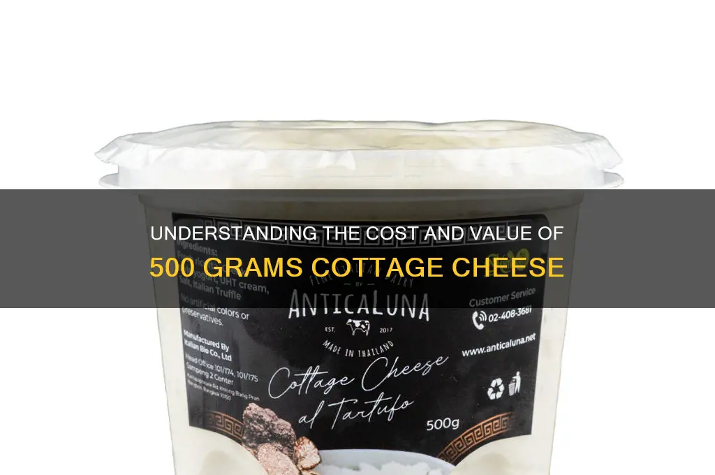 how much is 500 grams of cottage cheese