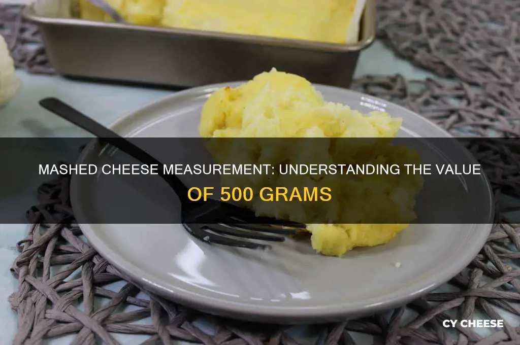 how much is 500 grams of mashed cheese