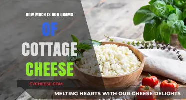 Understanding the Cost and Value of 800 Grams of Cottage Cheese