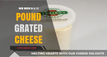 Cost of 1/3 Pound Grated Cheese: Pricing and Value Guide