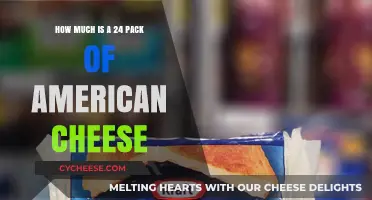 Cost of a 24-Pack of American Cheese: Pricing Guide