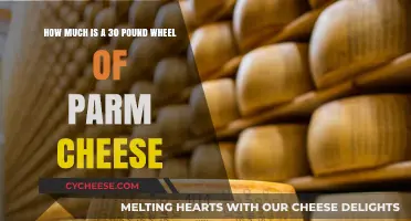 Cost of a 30-Pound Wheel of Parmesan Cheese Revealed