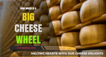 The Cost of a Big Cheese Wheel: A Price Guide