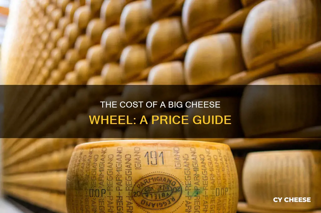 how much is a big cheese wheel