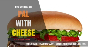Big Pal with Cheese Price: A Tasty Budget Breakdown