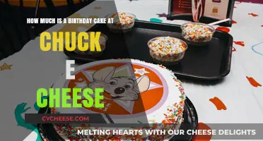Chuck E. Cheese Birthday Cake Prices: A Sweet Celebration Guide