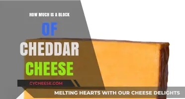 Cheddar Cheese Block Pricing: Costs, Factors, and Budget-Friendly Tips