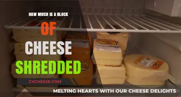 Shredded Cheese Cost: How Much is a Block of Cheese Shredded?