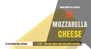 Mozzarella Cheese Block Price: A Comprehensive Guide to Costs and Factors