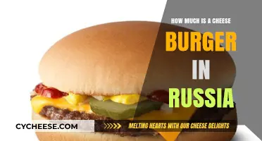 Exploring Russia's Cheeseburger Prices: A Tasty Cost Breakdown