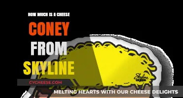 Skyline Cheese Coney Price: How Much Does This Cincinnati Favorite Cost?