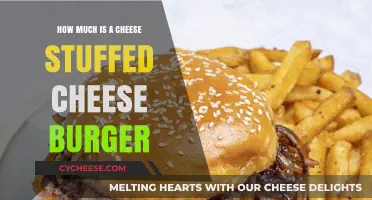 Cheese-Stuffed Burger Price: What’s the Cost of Cheesy Bliss?