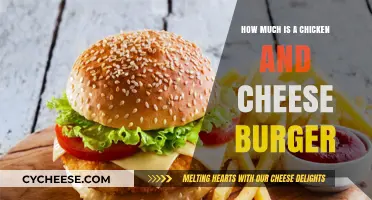 Chicken and Cheese Burger Price: A Tasty Treat's Cost Breakdown