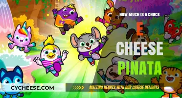 Chuck E. Cheese Piñata Price Guide: What to Expect