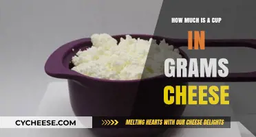 Converting Cheese Measurements: How Much is a Cup in Grams?