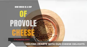 Provolone Cheese Price Guide: How Much is a Cup?