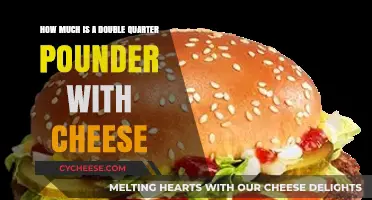 Double Quarter Pounder with Cheese: Unveiling the Price and Value
