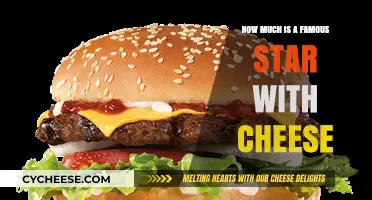 How Much is a Famous Star with Cheese: Unraveling the Cost