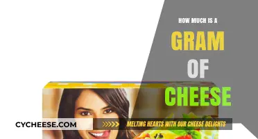 How Much Does a Gram of Cheese Cost? A Pricing Guide