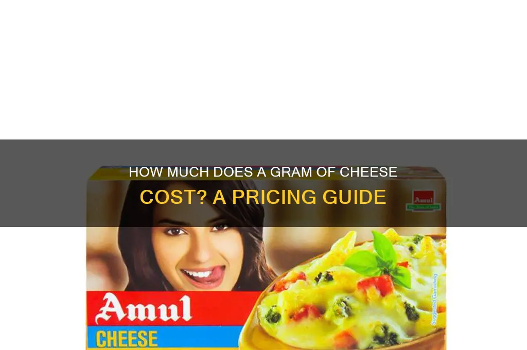 how much is a gram of cheese