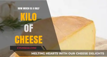 Half Kilo of Cheese: Cost, Value, and Buying Tips