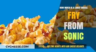 Sonic's Large Cheese Fry Price: A Tasty Treat's Cost Revealed
