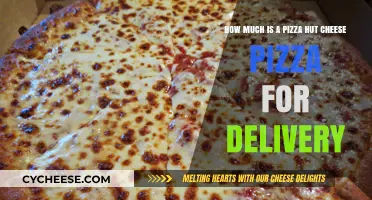 Pizza Hut Cheese Pizza Delivery Price: How Much Does It Cost?