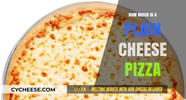 Plain Cheese Pizza Price: What’s the Average Cost Nationwide?