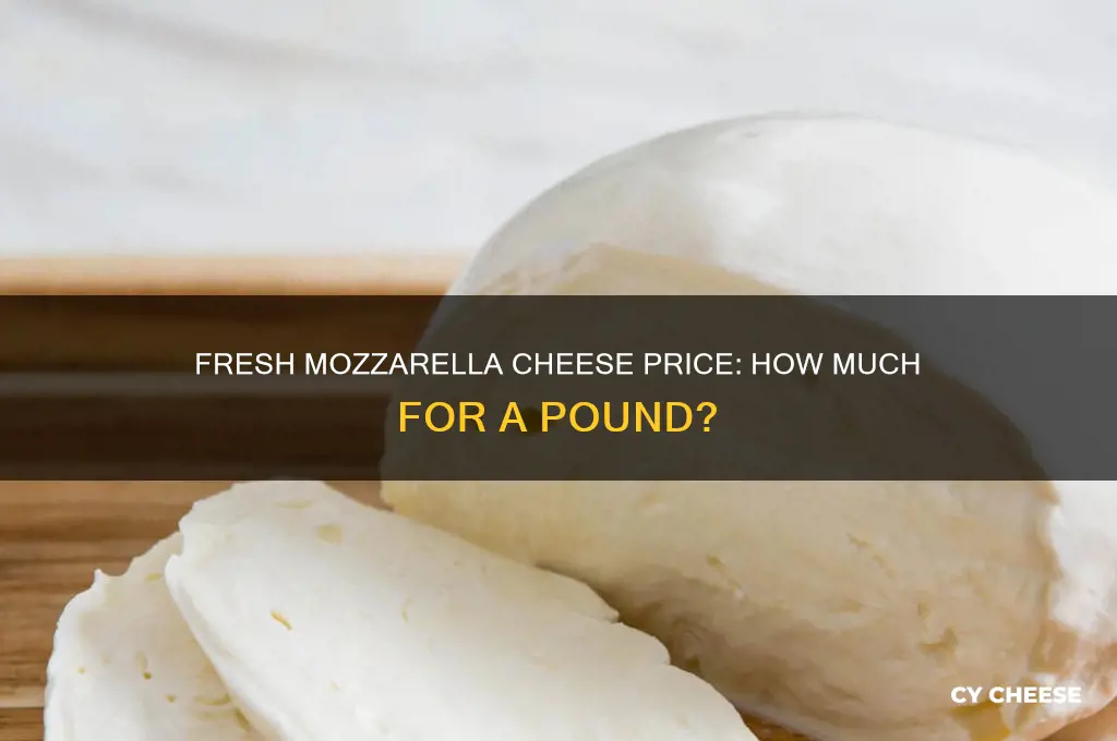 how much is a pound of fresh mozzarella cheese