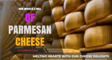 Parmesan Cheese Roll Cost: A Comprehensive Price Guide for Buyers