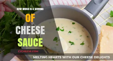 Perfect Portion: Understanding a Serving Size of Cheese Sauce
