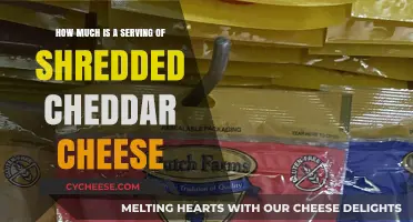 Perfect Portion: Measuring a Serving of Shredded Cheddar Cheese