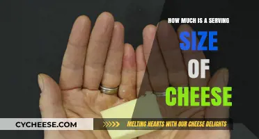 Understanding Cheese Serving Sizes: A Guide to Portion Control