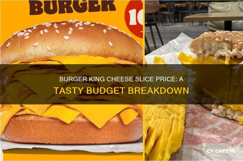 how much is a slice of cheese at burger king