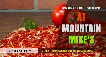 Mountain Mike's Small Cheese Pizza Price: A Tasty Budget Option